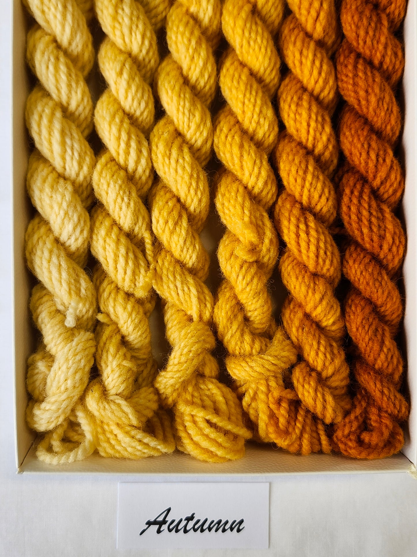 6-Value Mini Skeins
